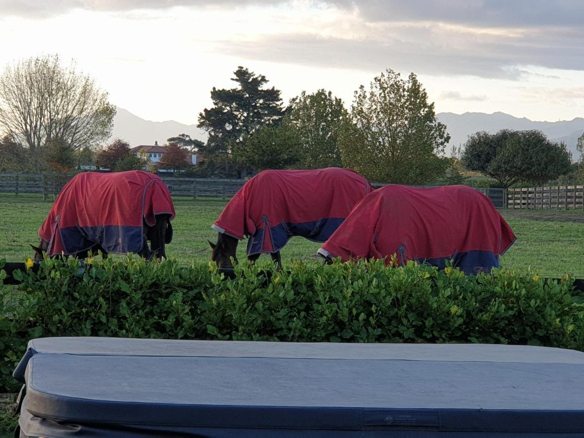 Okauia House, Matamata Hotell Eksteriør bilde